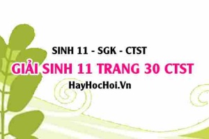Giải Sinh 11 trang 30 Chân trời sáng tạo SGK